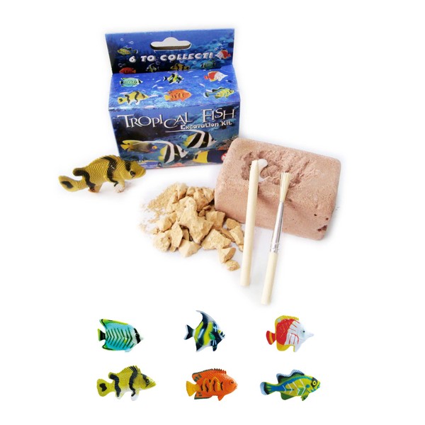 Tropical Fish Excavation Kit