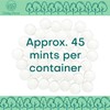 Galley Grove Sugar-Free Peppermint Breath Mints, Slender Round Package With