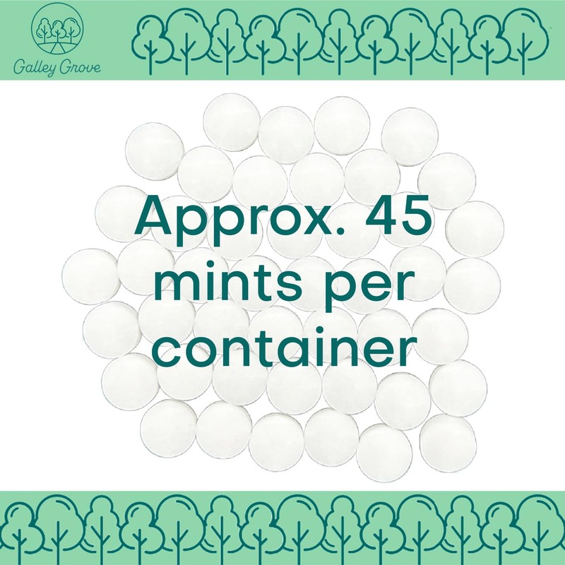 Galley Grove Sugar-Free Peppermint Breath Mints, Slender Round Package With