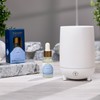 Trapp No. 20 Water 0.5 oz. Ultrasonic Diffuser Oil (2