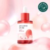 brand /Volume Elasticity Round Wrap Camellia Deep Collagen Elasticity Ampoule 30ml / /볼륨탄력 라운드랩 동백 딥 콜라겐 탄력 앰플 30ml