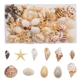 GraceAngie 1 Box 150PCS Small Tiny Sea Shells with Hole Mixed 11 Styles Beach Natural Seashell for DIY Jewelry Making, Home Decorations, Beach Theme Party, Fish Tank and Vase Fillers