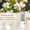 Comdian Set de 14 aceites esenciales aromáticos para aromaterapia, difusores,