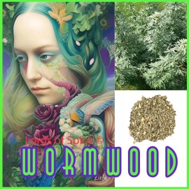 100% Pure Wormwood Herb Tea (Artemisia Absinthium) Absinthe  USA Free Ship 2oz