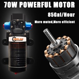 12V Electric Fuel Transfer Pump, Portable Gasoline Diesel Siphon Pump with 85 Gallons/Hour Capacity, Ideal for Vehicles, Boats, RVs, and Farm Equipment (70W kit)