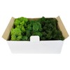 Eurofoto Iceland Moss Set Preserved – Real Natural Moss for