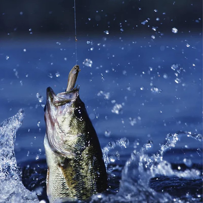 YODOOLTLY Fishing Lures Set, Fishing Lure Soft Baits 3D Eyes
