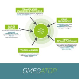 OMEGATOP Tiershampoo für Hunde & Katzen | Sanftes Hundeshampoo mit Hanföl & Ceramiden | Hundeshampoo gegen Juckreiz & Hautreizungen | Welpen Shampoo & Kitten Shampoo | Fellpflege für Hunde & Katzen