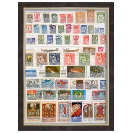 16x20 Walnut Shadowbox Frame - Shadow Box Frame Interior Size 16x20 by 2 Inches Deep - Walnut Frame is Made to Display Items Up to 1.75 Inches Deep! Includes Shatter Proof Acrylic, Backing, Hardware