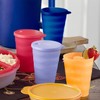 Tupperware Impressions Tumbler Set, 4 Count, Dishwasher Safe and BPA