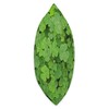 St. Patricks Day Gifts for Botanists with Clover Green Clover