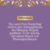 Twinings Pure Darjeeling Black Tea in Tea Bag - Delicate