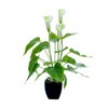 Artificial Flower Living Room Decorative Flowers Plastic Flowers Simulation Potted