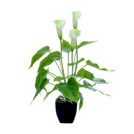 Artificial Flower Living Room Decorative Flowers Plastic Flowers Simulation Potted Plant Ornaments Fake Flower