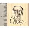 Jellyfish Rubber Stamp, Jellies, Free-Swimming Marine Animals