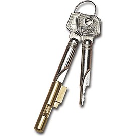 Burg Wächter E 6 Keys, Verschiedensperrend with 2 Keys