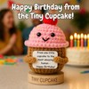 Happy Birthday Gifts for Women - Cute Cupcake Crochet with