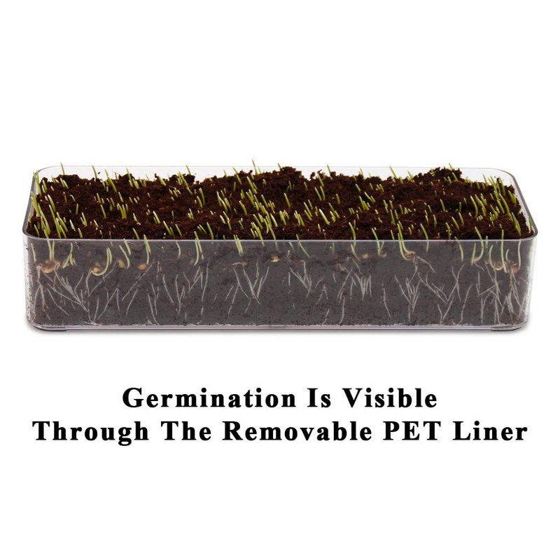 BENPIN Wooden Cat Grass Planter (no Seeds Included) with Anti