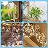 Sankoly 12 Pcs Self Adhesive Ceiling Hooks No Drilling Ceiling