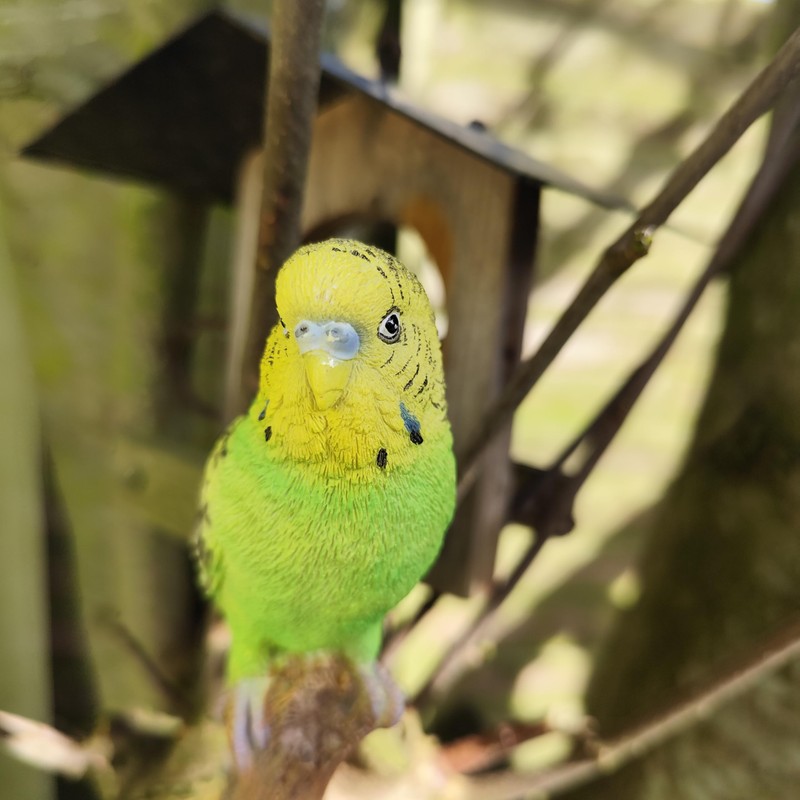 Vivid Arts - Budgies Garden Ornament Bird Sculpture (Budgie, Green)