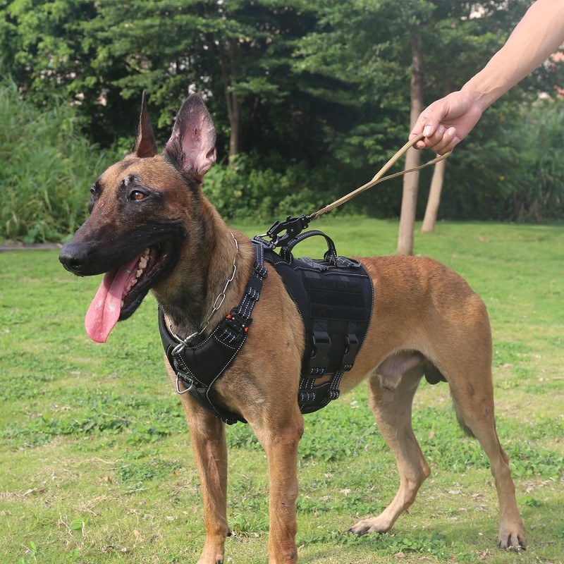 ICEFANG Short Dog Leash 25Inch Reflective Nylon Traffic Leash with
