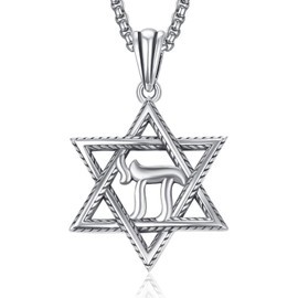 Star of David Chai Necklace 925 Sterling Silver Chai Necklace with Star of David Pendant Jewelry Estrella de David Jewish Star Necklace for Men Women