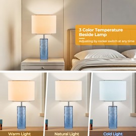 ELEUTERSUN 21.7" Modern Glass Table Lamps Set of 2 for Bedroom, Ocean Wavy Style Base with 3 Color Temperatures Bedside Lamps for Coastal Living Room Night Stands End Tables Farmhouse