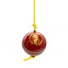 PSE Leather Practice Hanging Cricket Ball, Size Standard, (Red)