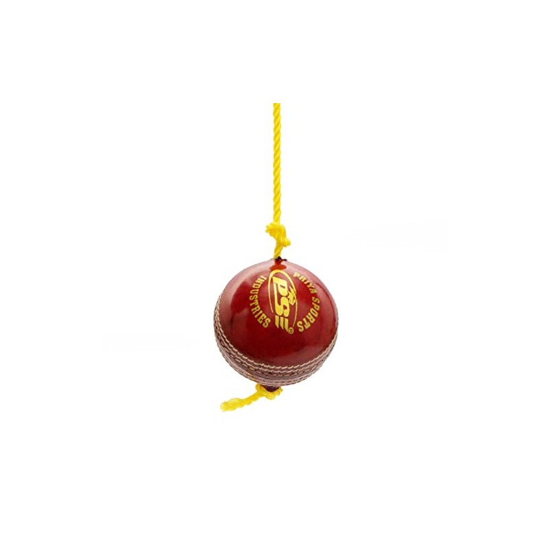 PSE Leather Practice Hanging Cricket Ball, Size Standard, (Red)