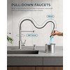 FORIOUS LED Kitchen Faucet with Pull Down Sprayer, Brushed Nickel