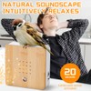 KQWVZ Vogelgezwitscher Box, Naturgeräusche Box mit Wandhalterung, Beruhigende Entspannung Naturgeräuschebox,