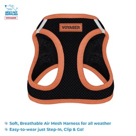 Voyager Step-in Air All Weather Mesh Harness and Reflective Dog 5 ft Leash Combo with Neoprene Handle, for Small, Medium and Large Breed Puppies by Best Pet Supplies - Black, X-Large