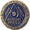 9 Month AA Medallion Antique Bronze Dusty Blue Color Sobriety