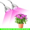 Dual Head 56 LED Indoor Desk Plant Flower Grow Light