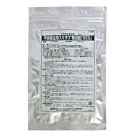Smilab Foam Tablets "SES", 0.02 oz (0.5 g) x 100 Tablets