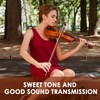 Violin Strings 4/4 Set 12Pcs Violin Full Size Strings Kits