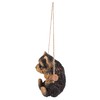 Hanging Yorkshire Terrier Puppy, Black
