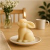 1 Pack Bunny Candle Molds Silicone Molds for Candle Making,