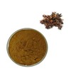 Octagon Powder, Lllicium Verum Star Aniseed Powder, 1.4 oz (40