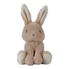 Little Dutch 8850 Soft Toy Rabbit - Baby Bunny -