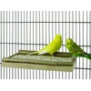 VogelKing Seat board for birds, small, medium, large, bird seat