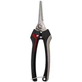 BELLOTA 3621 inox-ce MB – Scissors recolectora