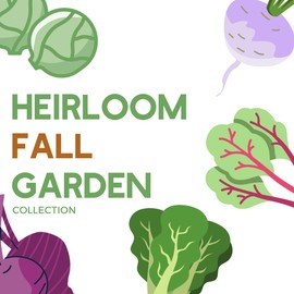 Fall Garden Heirloom Vegetable Seeds - ~3,800+ Seeds, 7 Varieties of Seeds to Sow in Fall Months – Turnip, Beet, Chard, Echinacea, Spinach, Brussel Sprouts, and Kale Heirloom Seeds for Planting