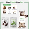 wonderflower Natural Silvervine Cat Chew Sticks, Feathered Cat Toys, 6-Piece