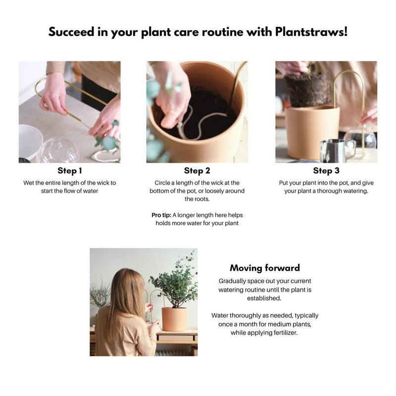 Plantstraws Beautiful Self-Watering Wick System for Effortless Plant Care, Automatic