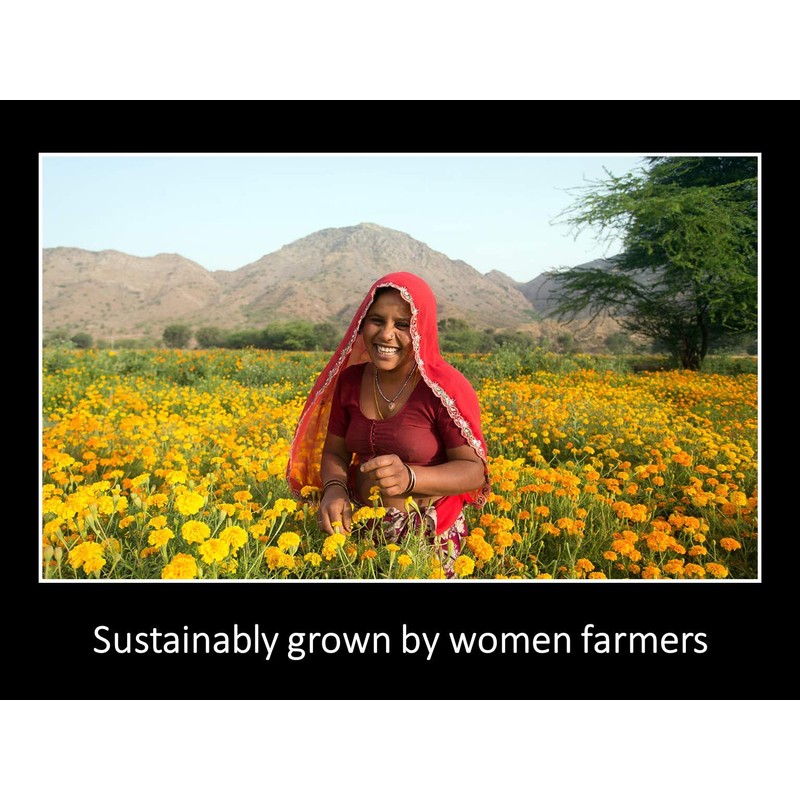 Daana Organic Mustard/Rapeseed Oil for Skin: Extra Virgin, Cold Pressed