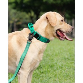 Joytale Tactical Dog Collar with Handle, Dog Collar, 3.8 cm Wide, Adjustable Dog Collar for Large Dogs, Nylon, Turquoise, L