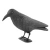 KCT Crow Decoy Full Bodied Realistic Hunting Prop and Bird