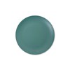 Tradition Acoustic TRIBECA PLAWARE 10" PLATE GREEN 27cm