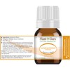 Sandalwood (East Indian Mysore) Essential Oil 5 ml 100% Pure